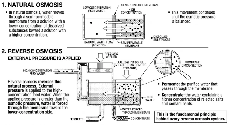 Reverse osmosis reverses Reverse osmosis reverses